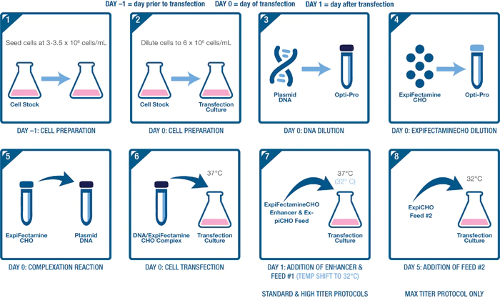 瞬時轉(zhuǎn)染