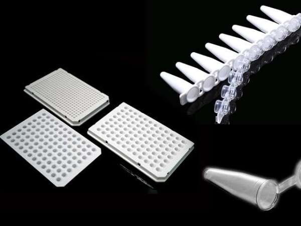 耐思 Axygen PCR 單管及八聯(lián)管產(chǎn)品型號與包裝規(guī)格