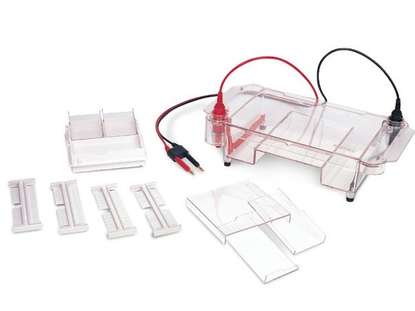 天能 HE -120 多功能水平電泳槽 天能 HE -120 多功能水平電泳槽