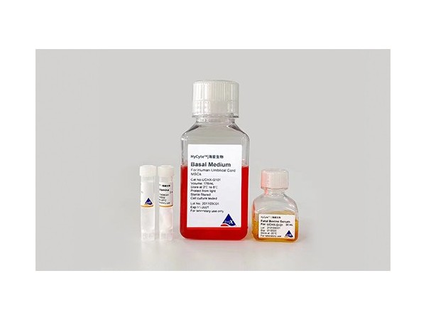 HyCyte SD大鼠骨髓間充質干細胞去外泌體專用培養(yǎng)基