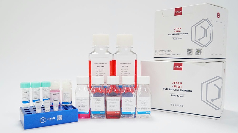 小鼠舌類器官Kit 貨號：MOCK001