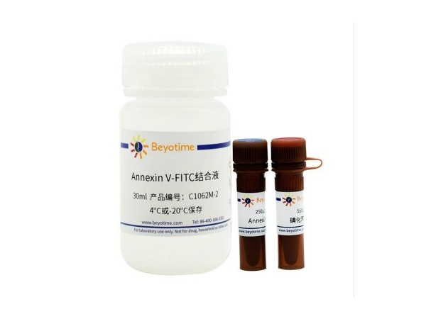 碧云天 Annexin V-FITC 細(xì)胞凋亡 檢測試劑盒 C1062M 碧云天 Annexin V-FITC 細(xì)胞凋亡 檢測試劑盒 C1062M