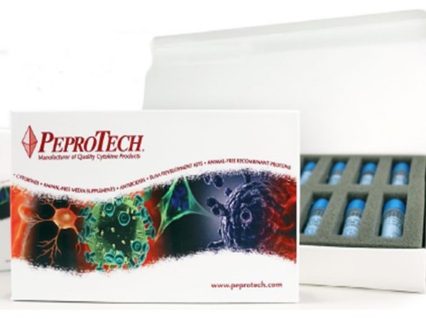 PeproTech 100-3 Recombinant Human Heregulinβ-1 單細(xì)胞