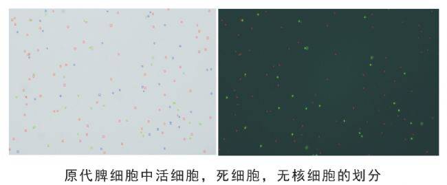 細胞計數(shù)儀參數(shù)