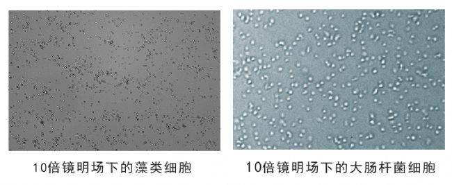 細胞計數(shù)儀