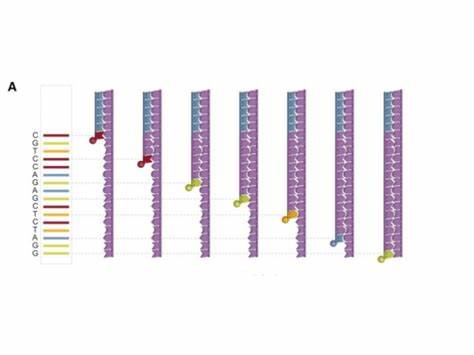 二代測(cè)序文庫(kù)