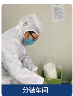 片狀載體質(zhì)量差異對(duì)干細(xì)胞培養(yǎng)一致性的影響及對(duì)策